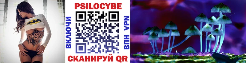 Псилоцибиновые грибы прущие грибы  MEGA вход  Георгиевск 